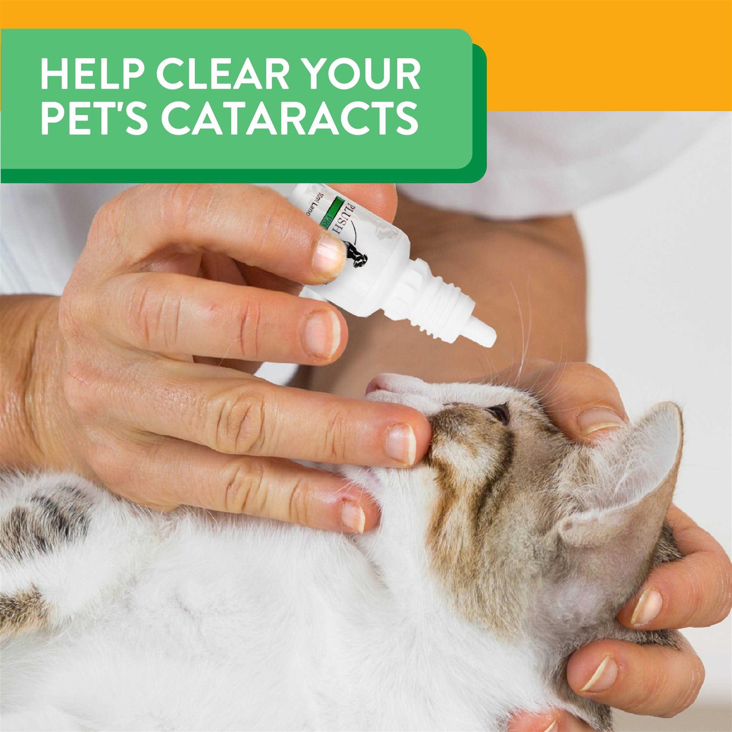 Plush Paws Advanced Lanosterol Solution + NAC