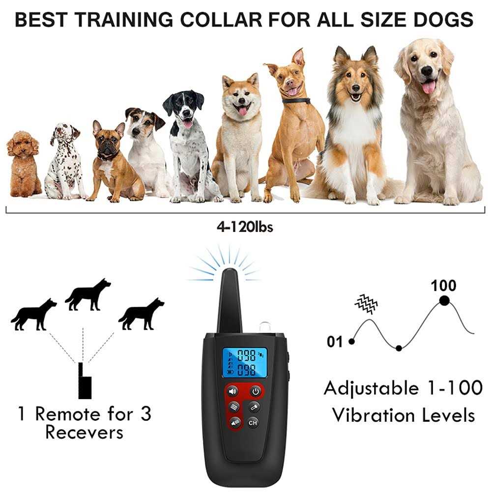 Paipaitek No Shock Dog Training Collar with Remote Vibration Collar Dogs Dogs