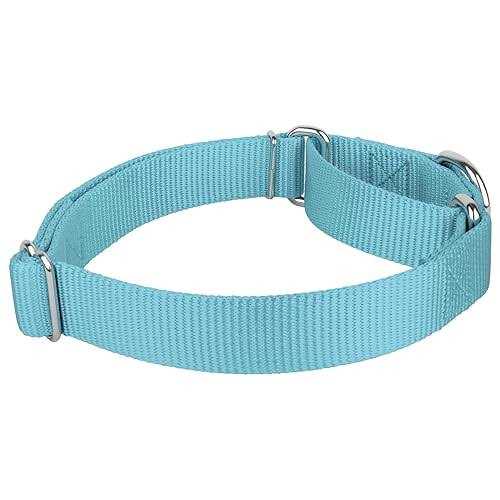 Country Brook Petz Martingale Nylon Dog Collar
