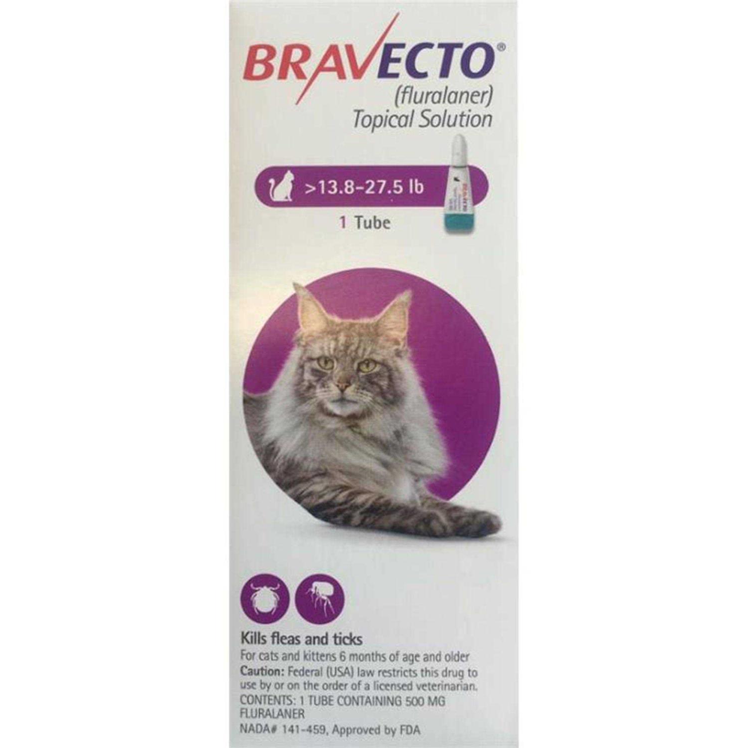 Bravecto Topical Solution for Cats