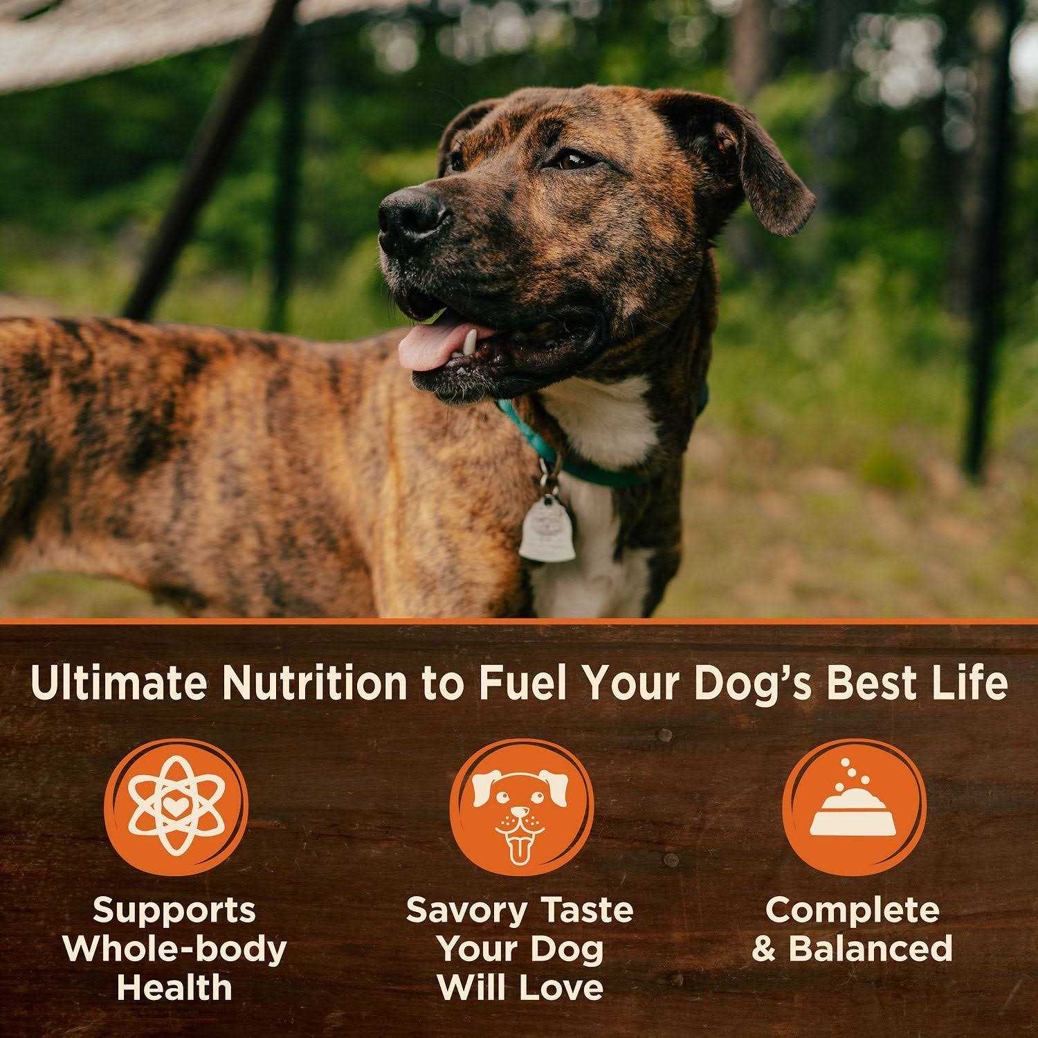 Wellness CORE Grain Free Natural 95% Beef and Carrots Recipe Wet Canned Dog Food