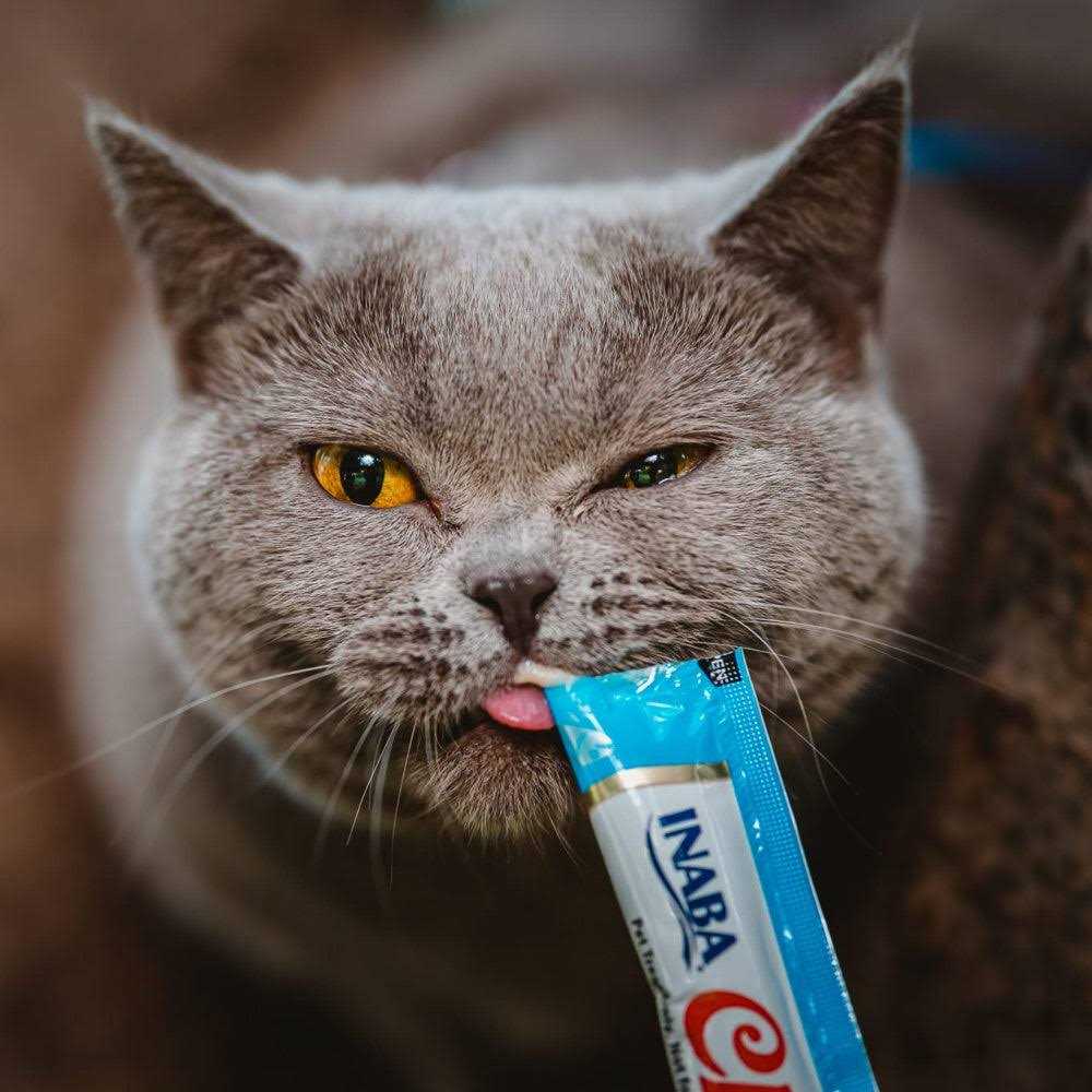 Inaba Inaba Churu Lickable Creamy Puree Cat Treats