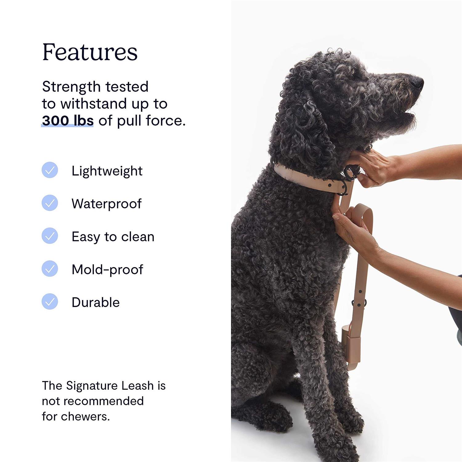 Fable Pets Signature Dog Leash