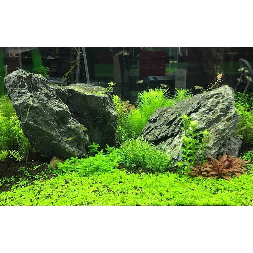 Seachem Flourish Advance