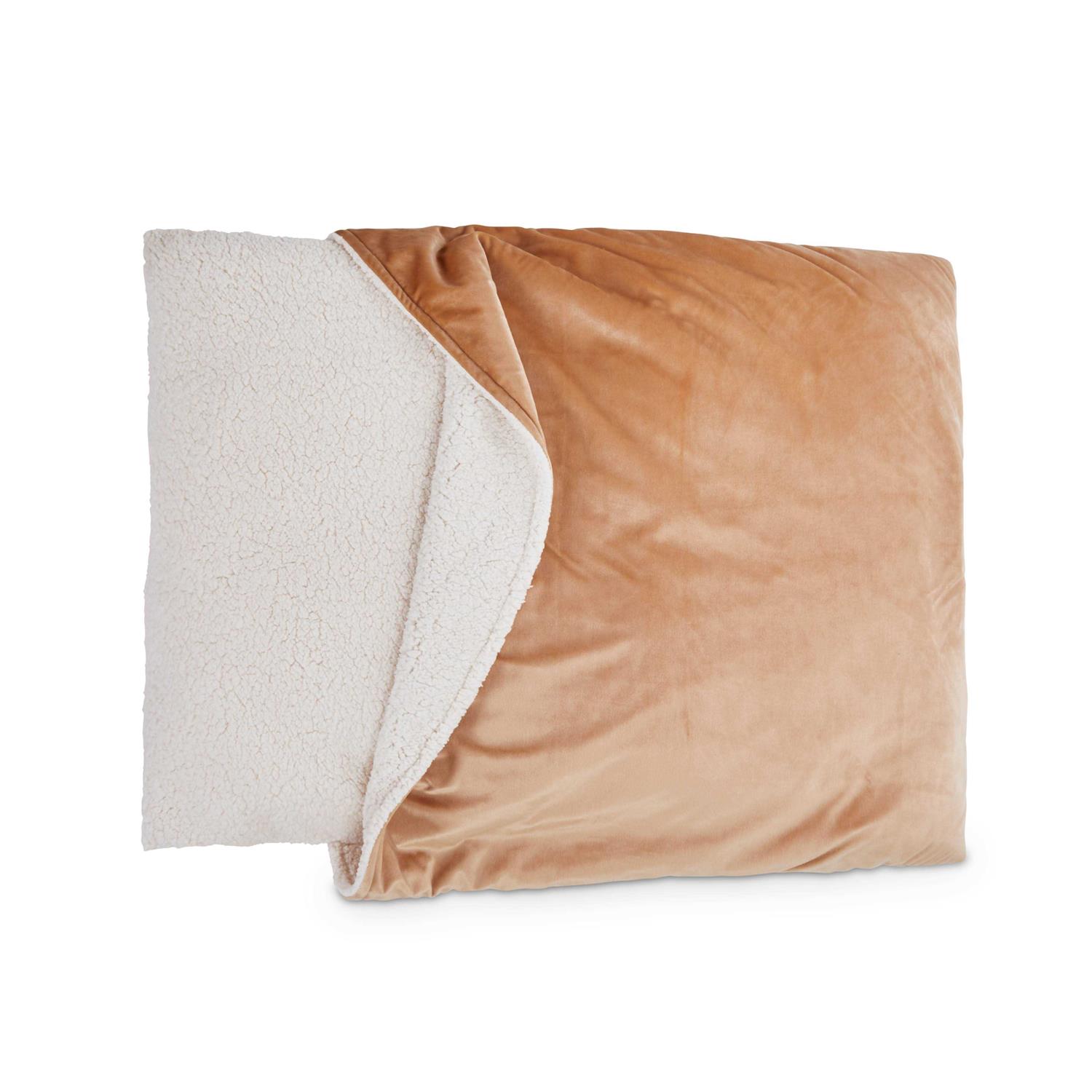 EveryYay Snooze Fest Pillow Pocket Dog Bed