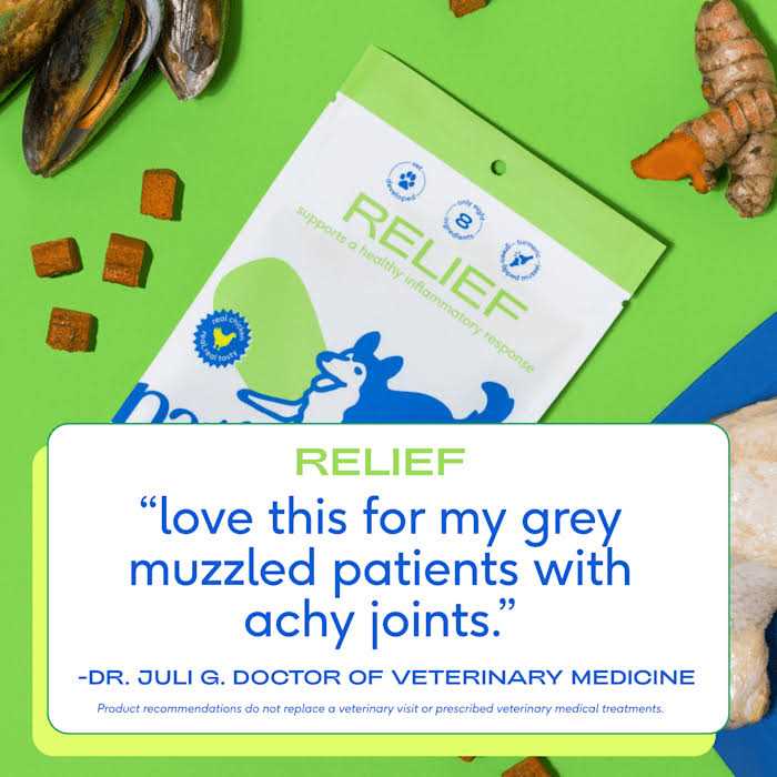 Native Pet Anti Inflammatory Supplement & Dog Joint Relief
