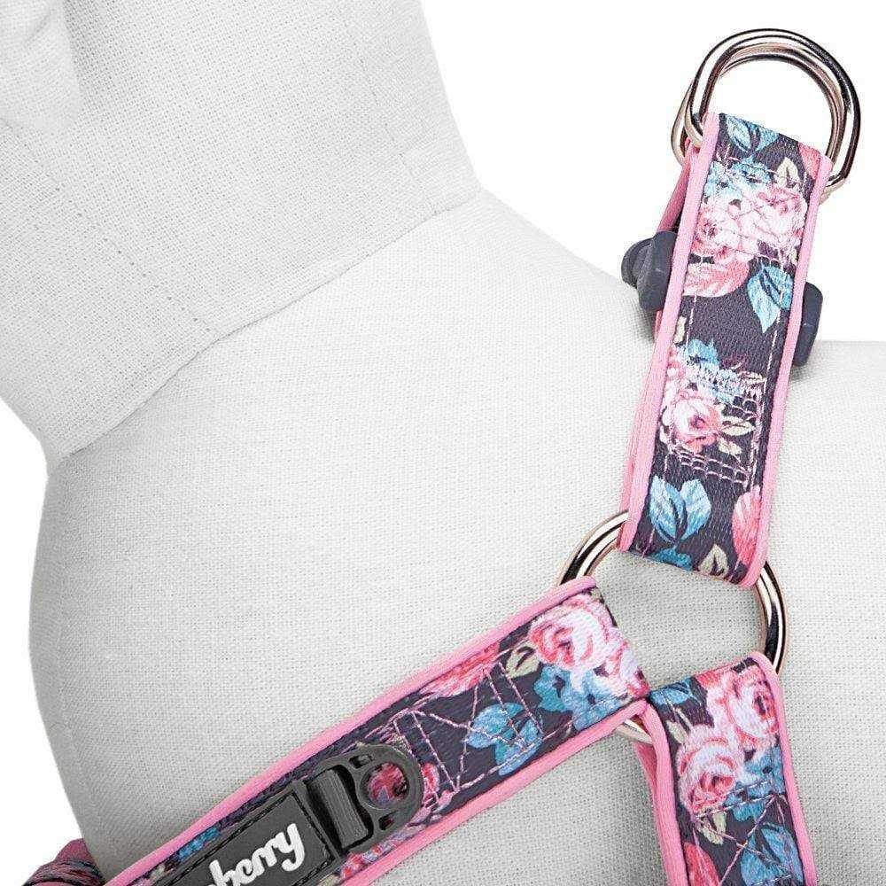 Blueberry Pet Step Dog Harness