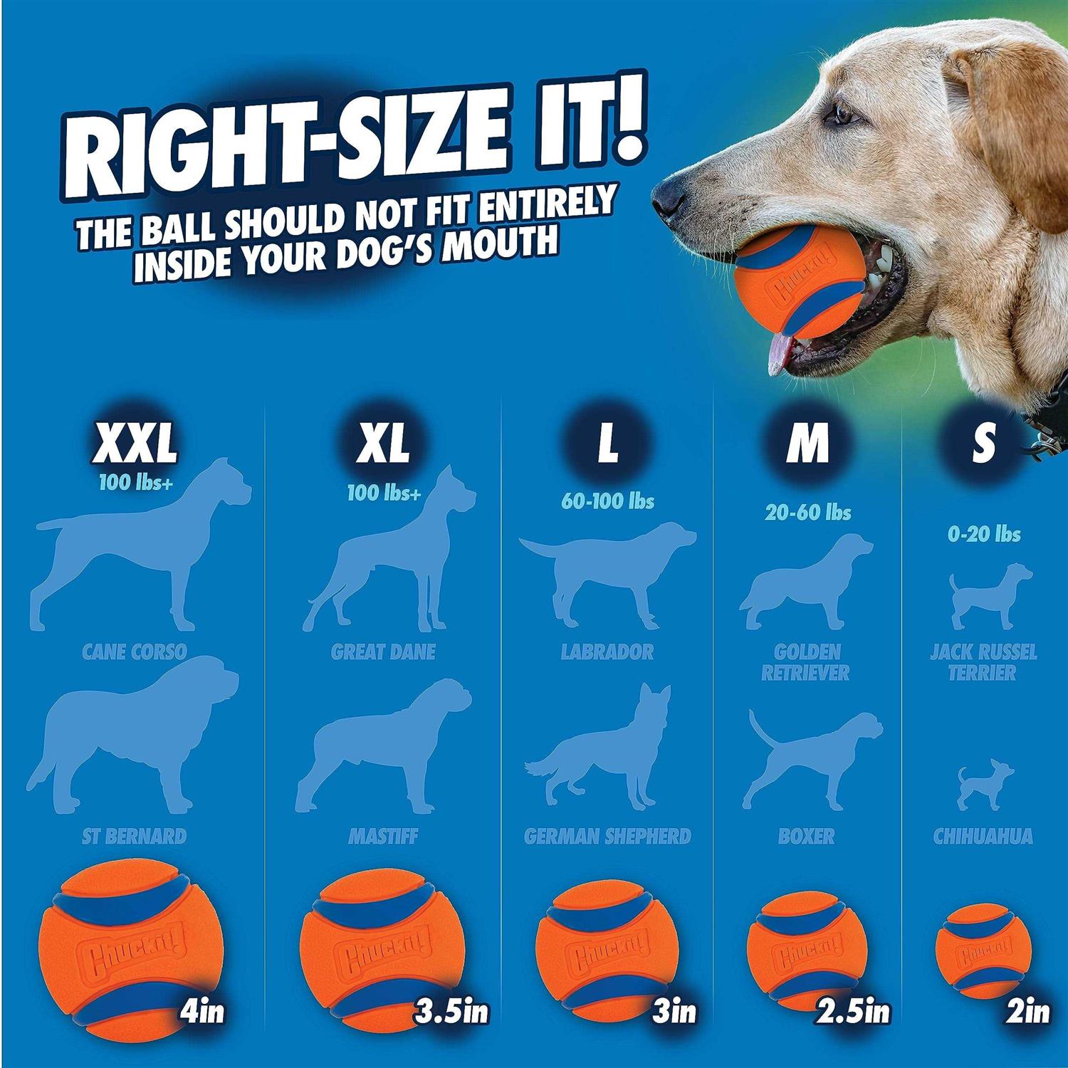 Chuckit! Fetch & Fold Launcher