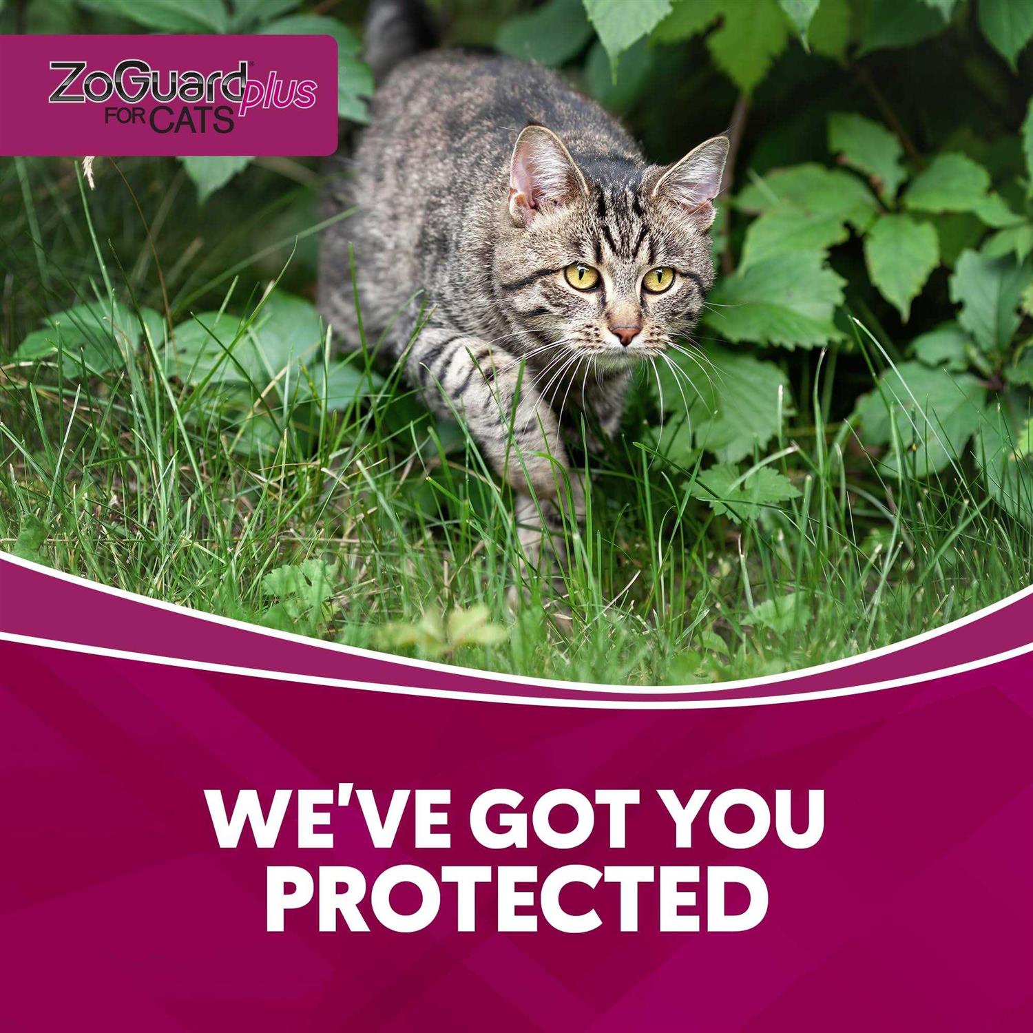 ZoGuard Plus for Cats