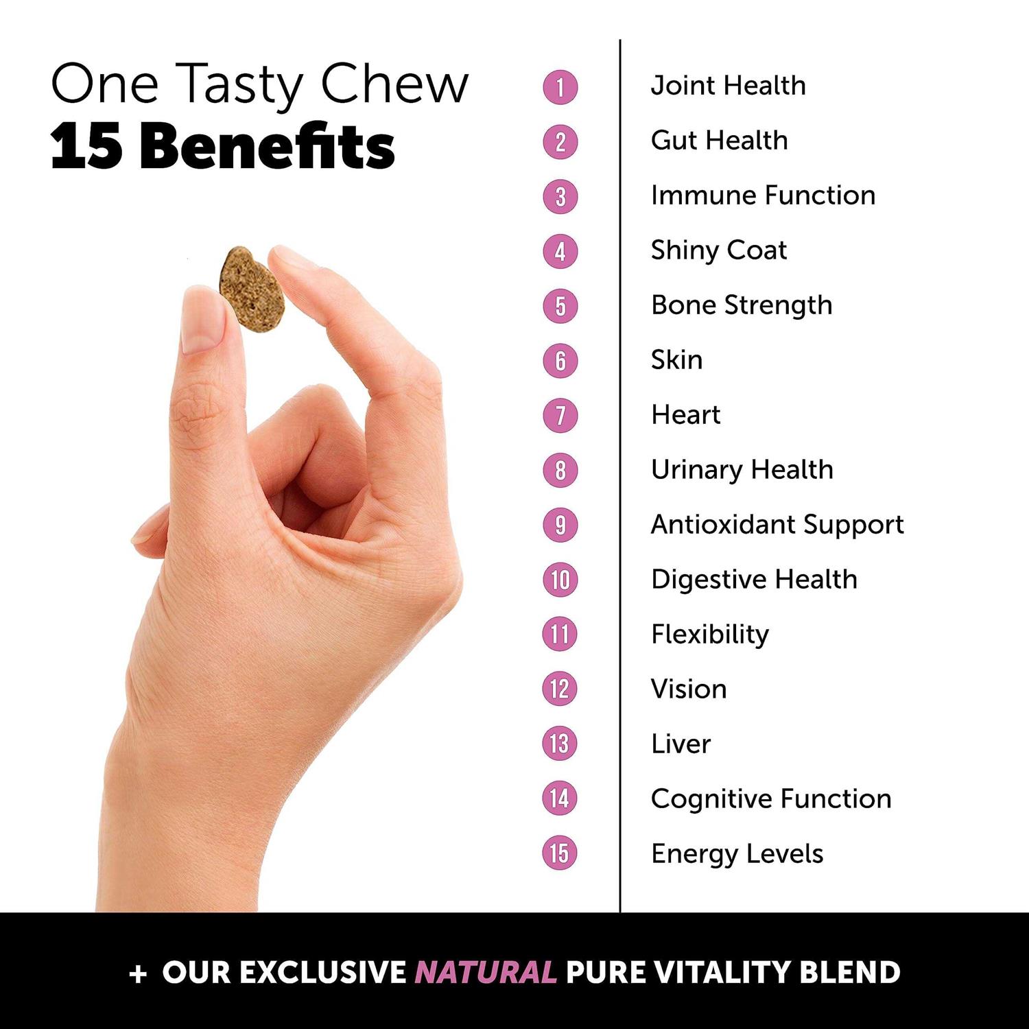 Pet Honesty Dog Multivitamin Max Strength Glucosamine Chews