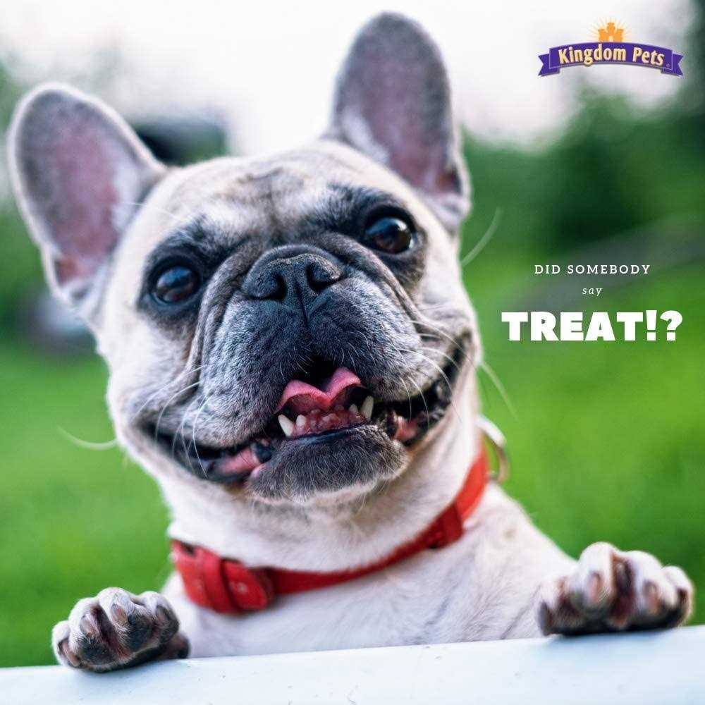 Kingdom Pets Duck & Sweet Potato Jerky Twists