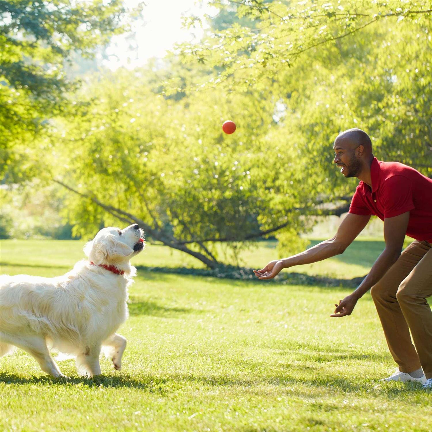 Milk-Bone Simply Original Dog Biscuits