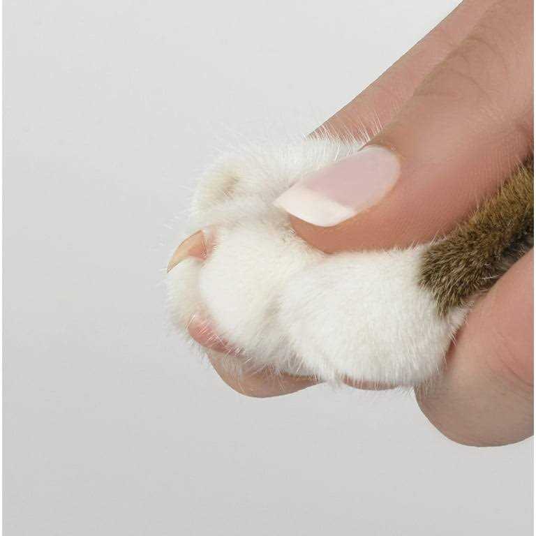 Oster Gentle Paws Nail Grinder Replacement Bands Accessory Kit for Dog and Cats