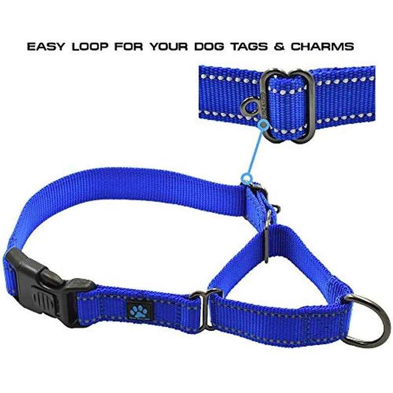 Max and Neo Nylon Martingale Collar We Donate a Collar to a Dog Rescue for Every Collar Sold