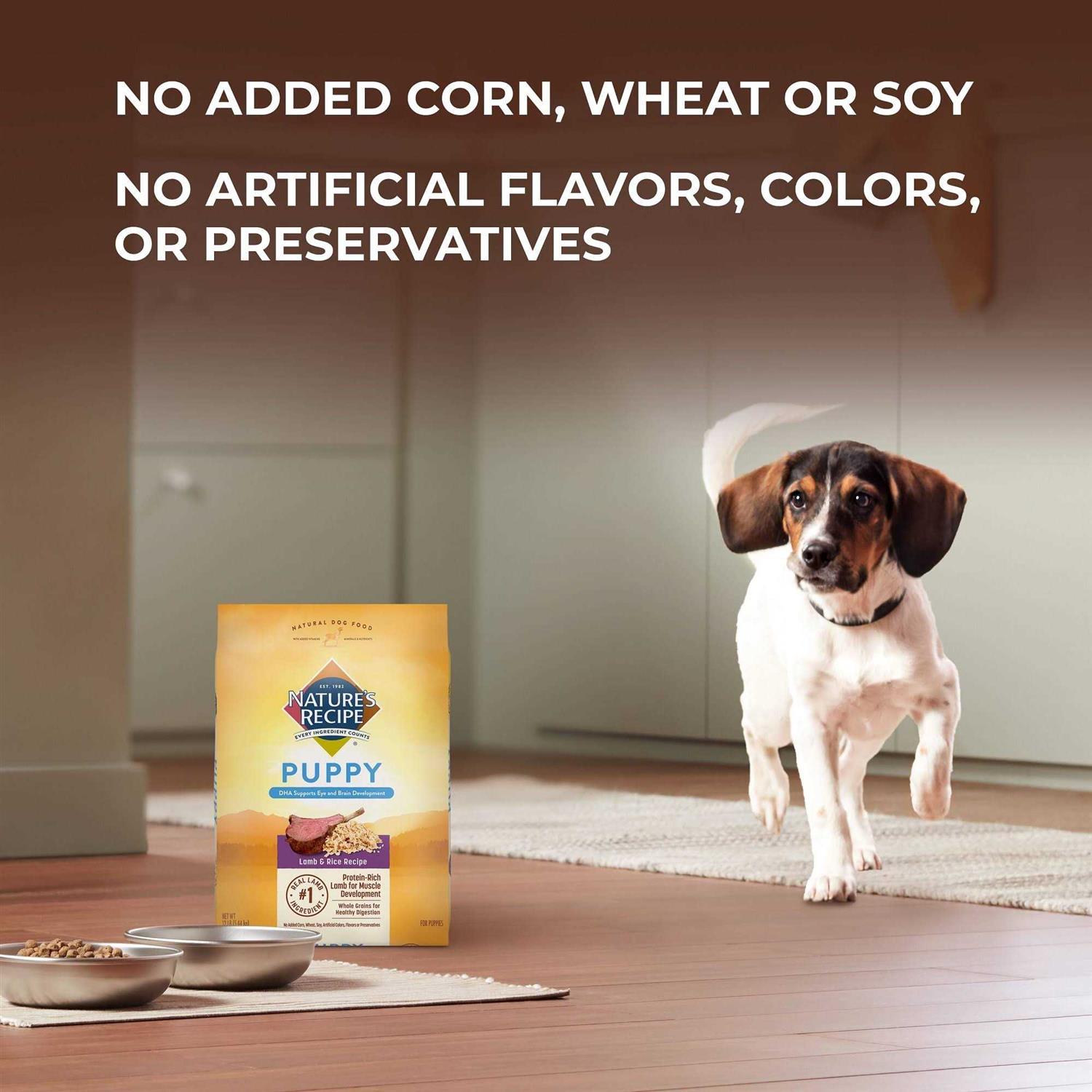 Natures Recipe Puppy Dry Dog Food Lamb & Rice