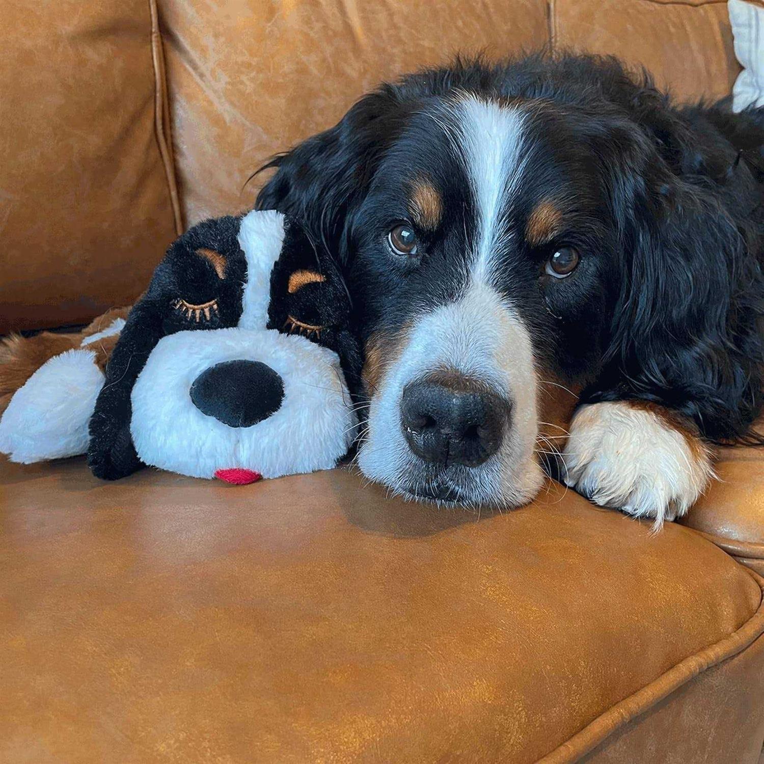 Snuggle Puppy Plus Smart Heartbeat Toy for Pet Anxiety Relief