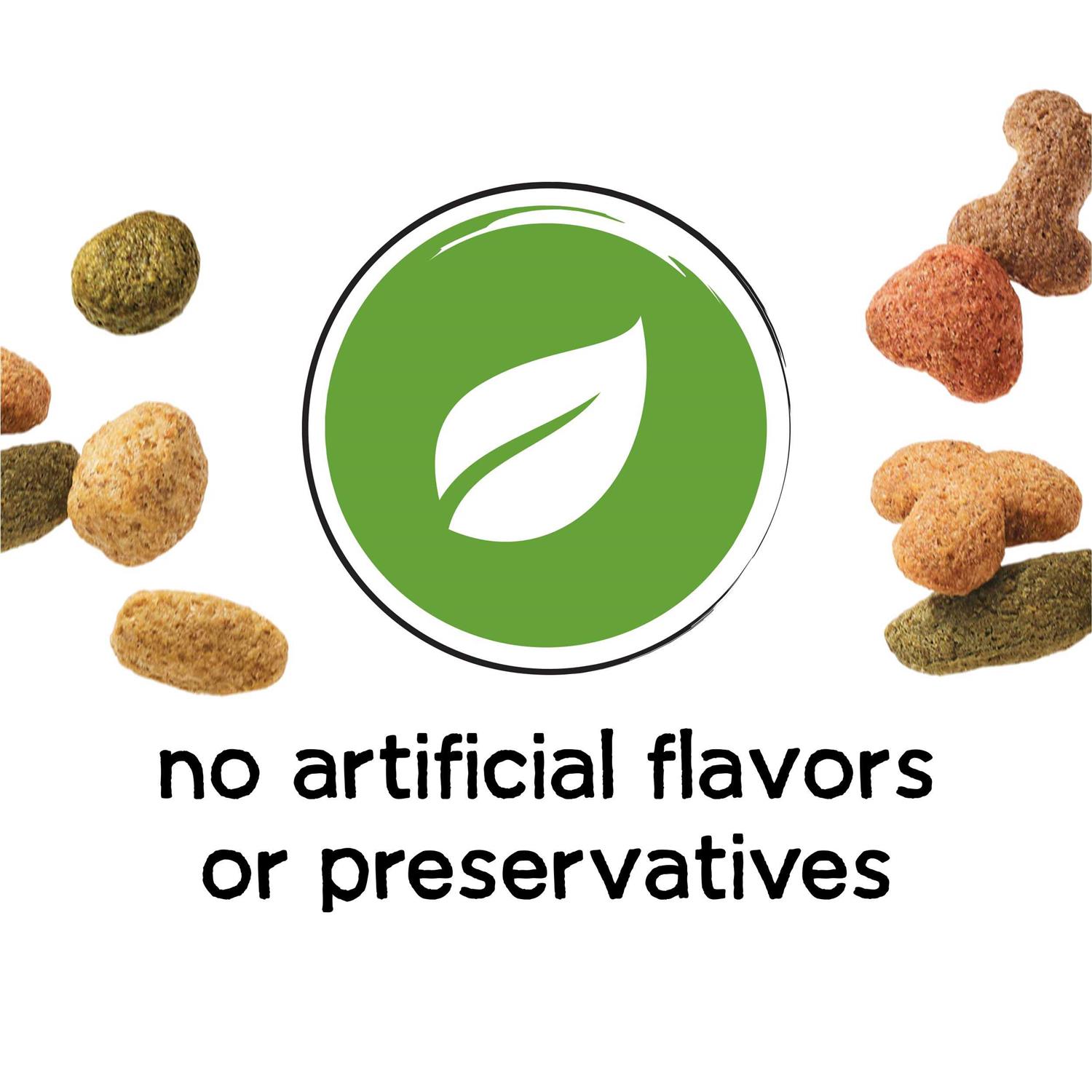 Purina Beneful Healthy Weight Dry Dog Food Chicken