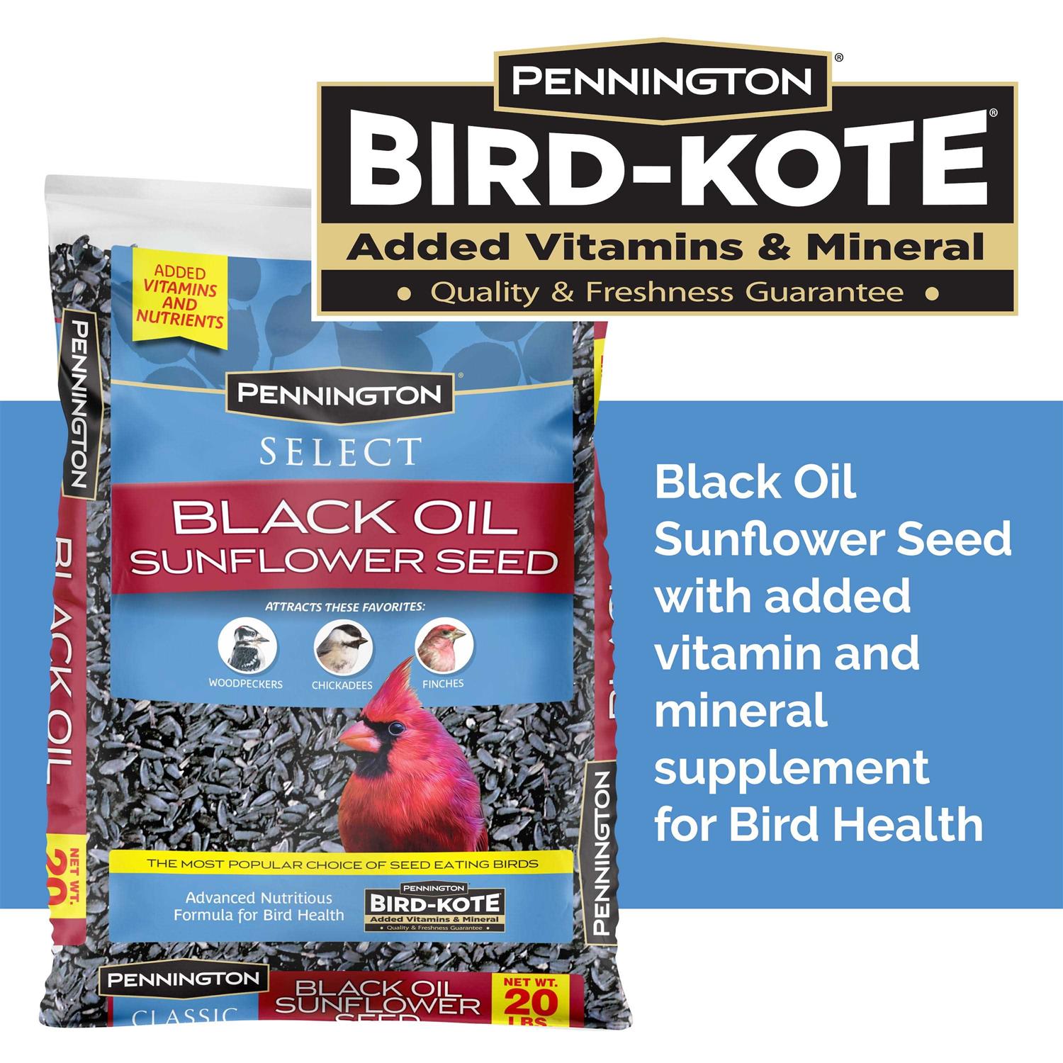 Pennington Select Black Oil Sunflower Seed Wild Bird Feed