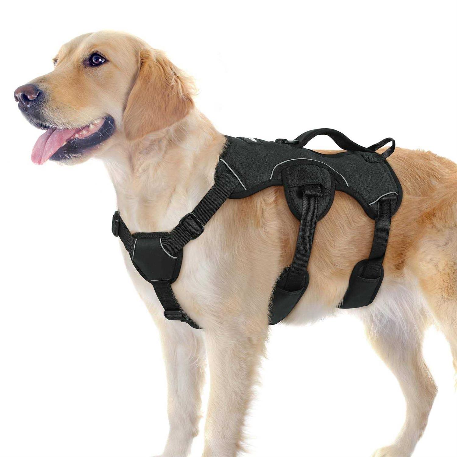 rabbitgoo Dog Harness No Pull Pet Harness with 2 Leash Clips Adjustable Soft Padded Dog Vest