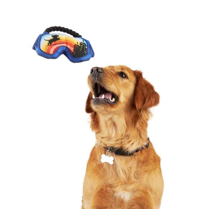 Petco Ski Goggles Dog Toy