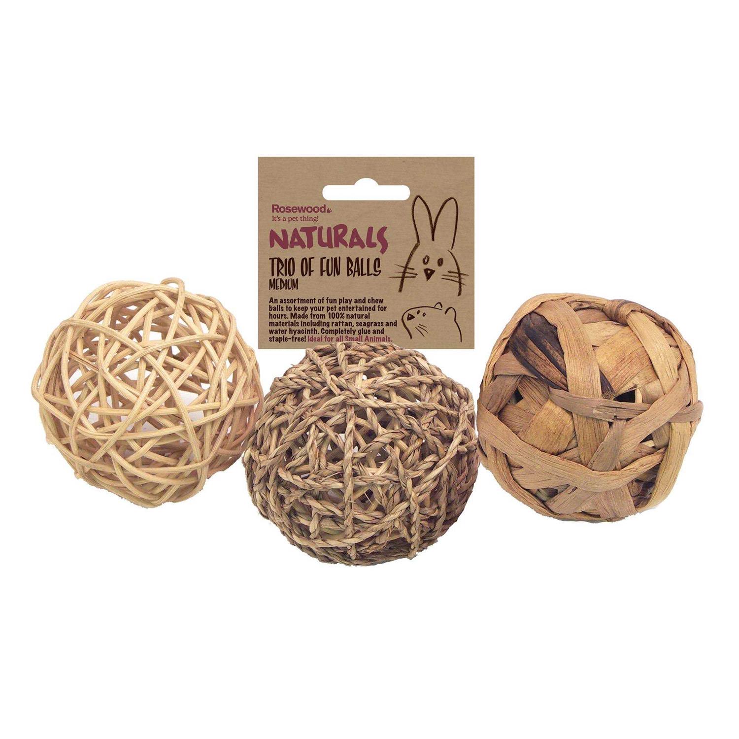 Rosewood Small Trio of Fun Balls Animal Toy