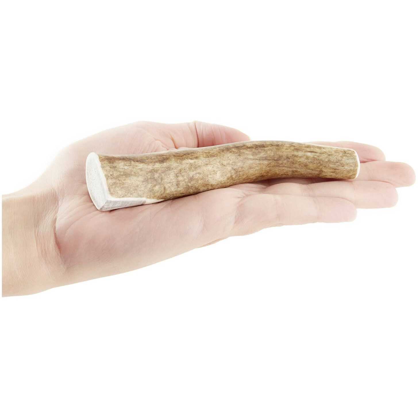 Kong Whole Wild Elk Antler