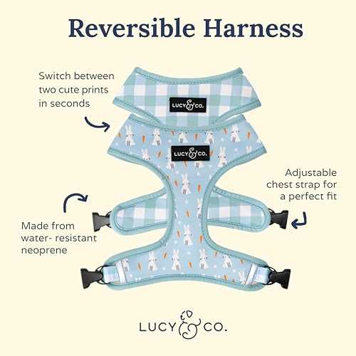 The Funny Bunny Reversible Dog Harness | Lucy & Co Medium