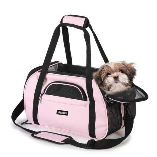 212 Main Soft Pet Carrier