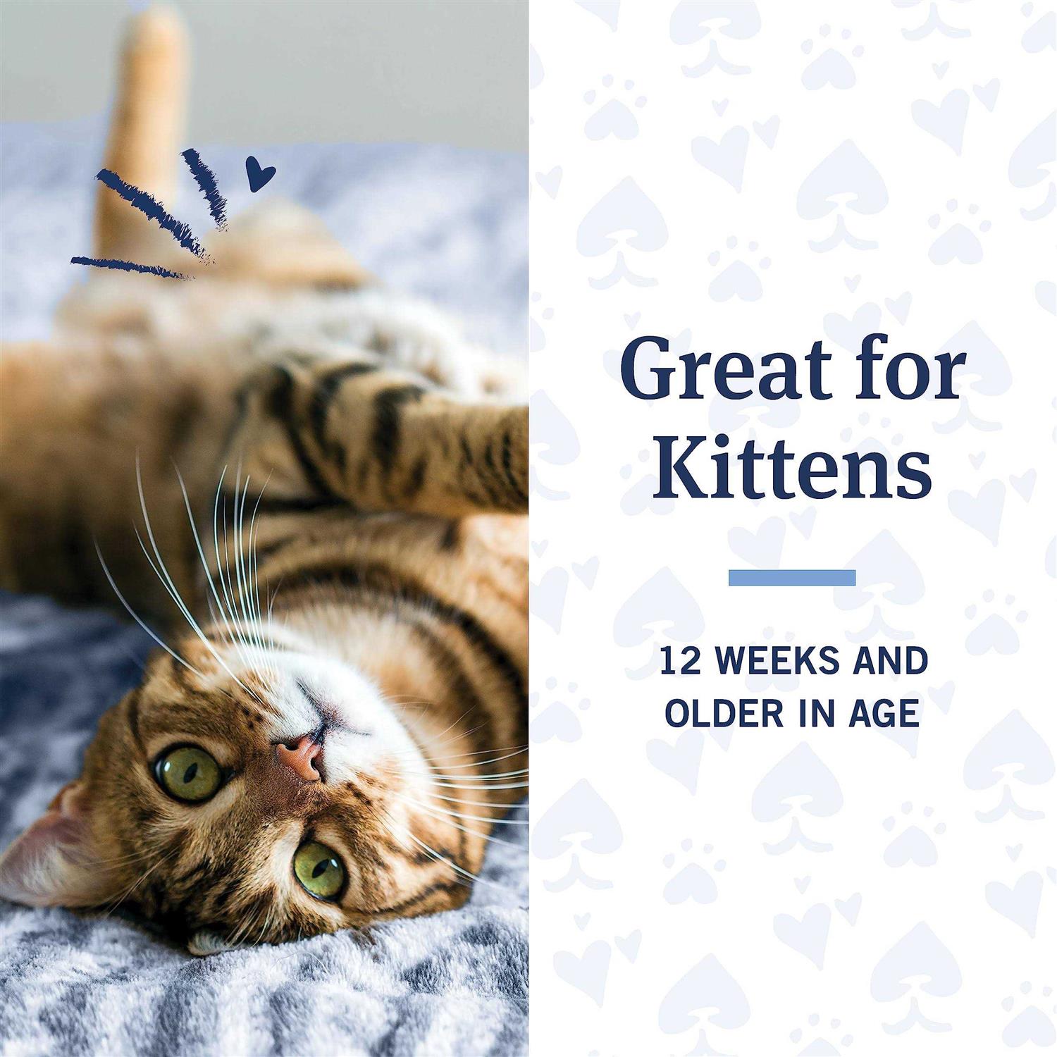 PetArmor Flea & Tick Shampoo for Cats Coconut Berry Scent