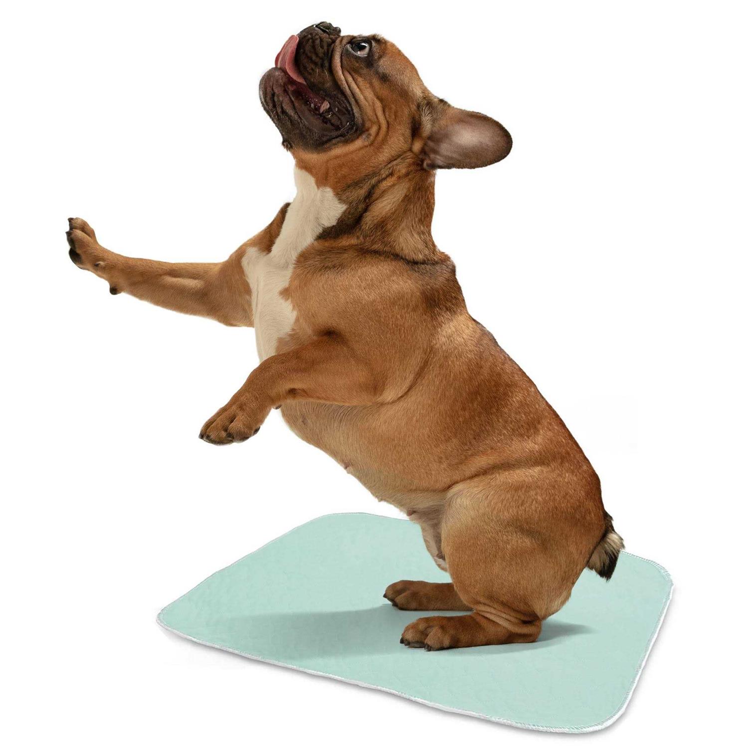 ProHeal Washable Bed Pads