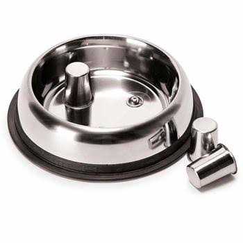 Qt Dog Stainless Steel Brake-Fast Bowl