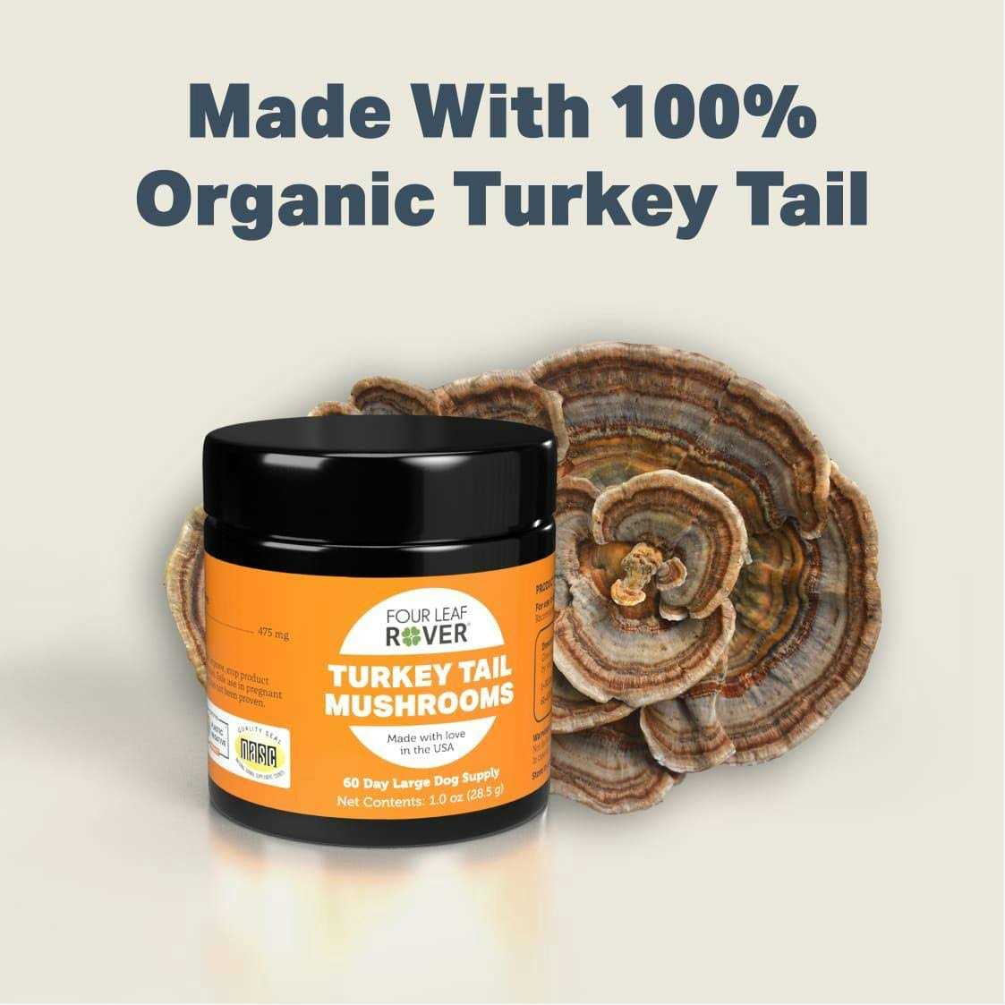 Four Leaf Rover Turkey Tail