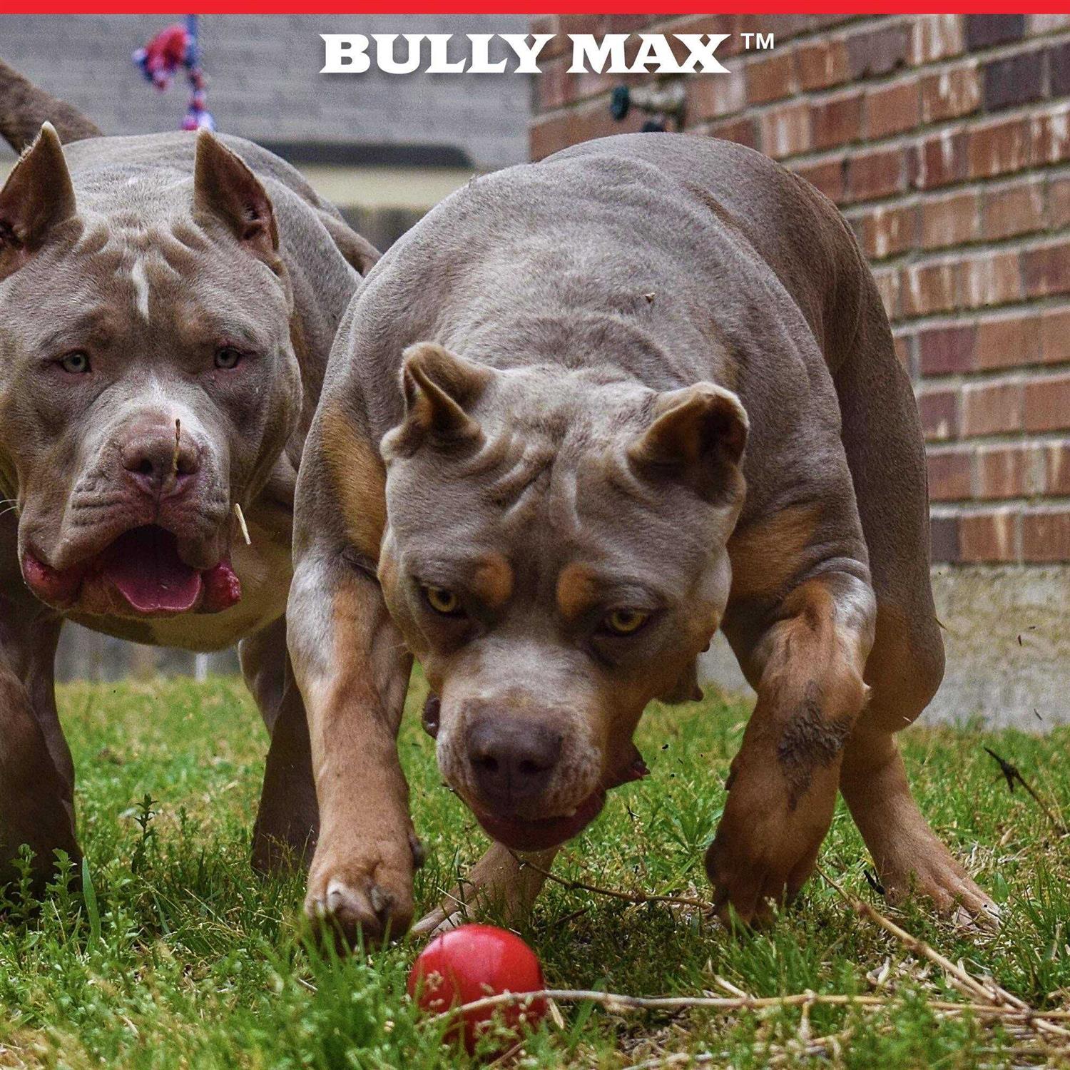 Bully Max Indestructible Dog Ball Toy for Aggressive Chewers Dog Chew Toy for Puppy