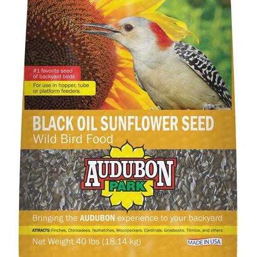 Audubon Park 11801 Black Oil Sunflower Seed Wild Bird Food