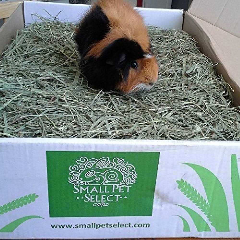 Small Pet Select Cutting Timothy Hay Pet Food
