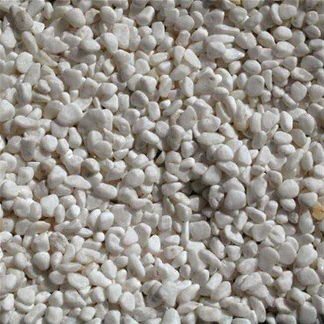 Exotic Pebbles Bean Pebbles