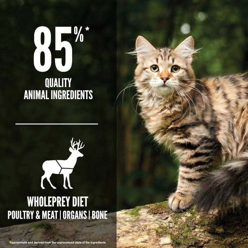 Orijen Tundra Cat Food