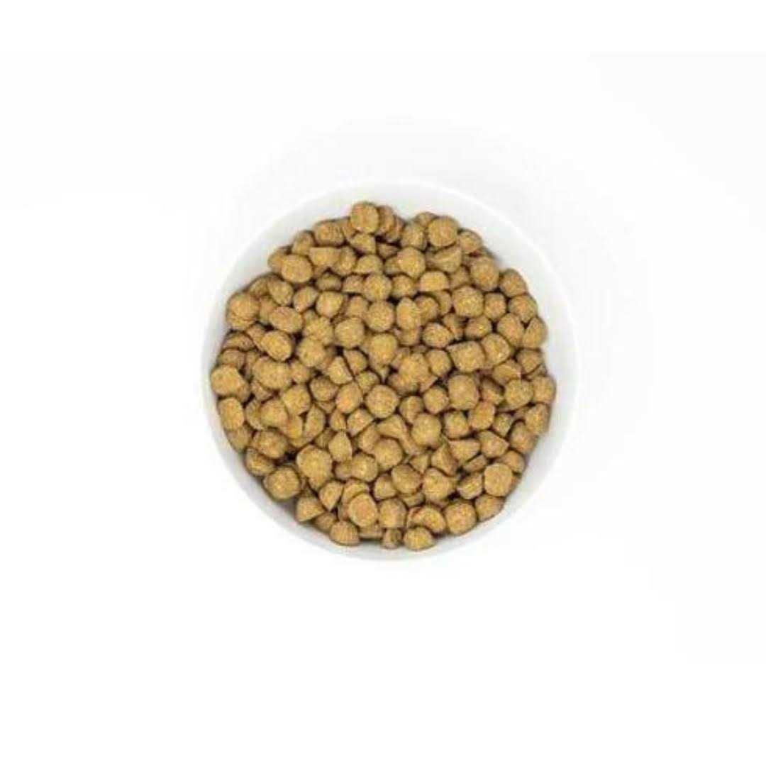 Stella & Chewy’s Raw Coated Kibble Recipe with Wholesome Grains Dog
