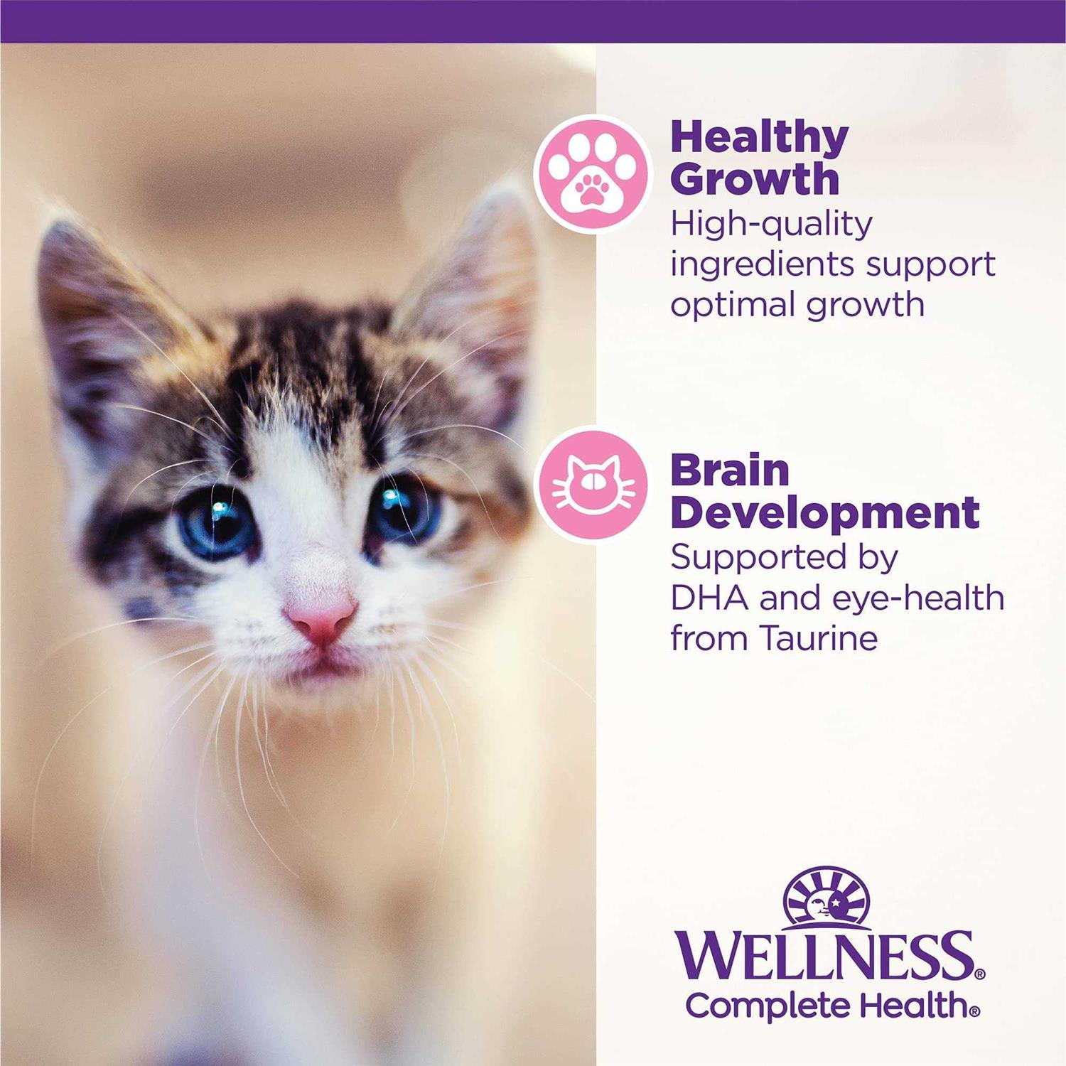 Wellness Complete Health Kitten Canned Wet Cat Food