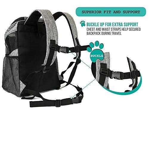 PetAmi Premium Pet Carrier Backpack for Small Cats and Dogs