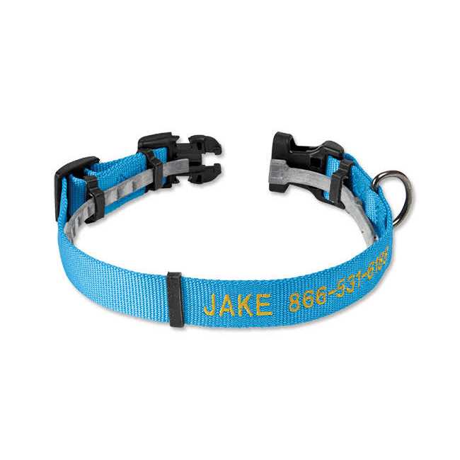 Orvis Conceal-a-Collar Personalized Flea and Tick Collar