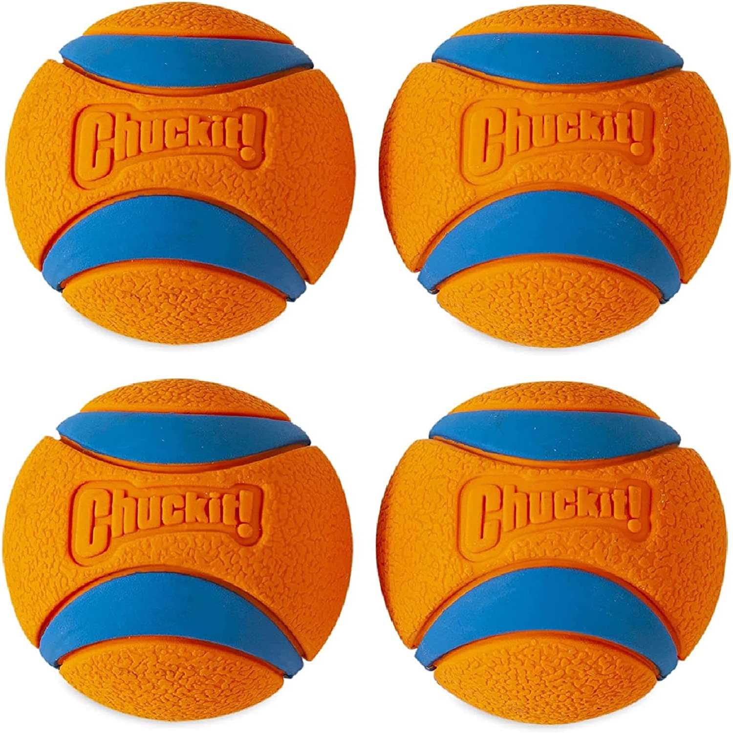 Chuckit! Canister Ultra Ball Dog Toy