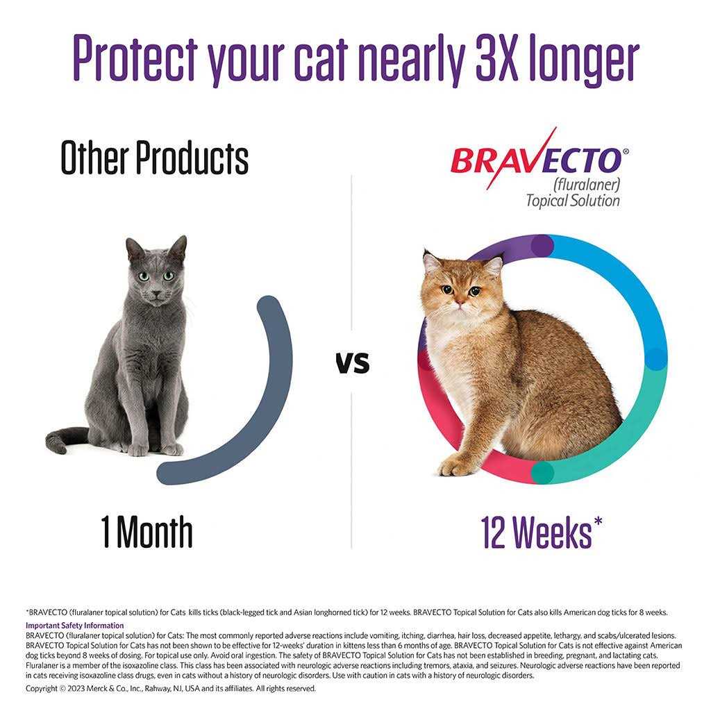 Bravecto Topical Solution for Cats