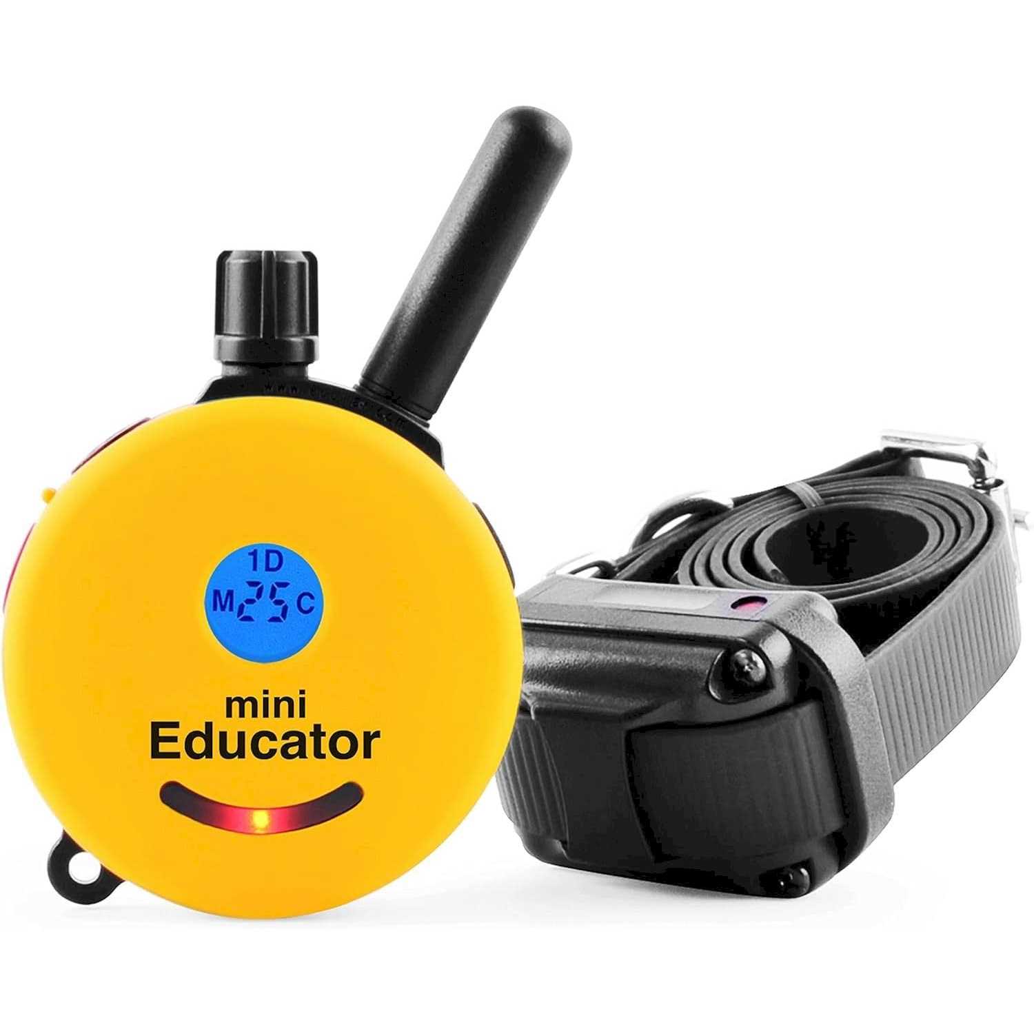 E-Collar Technologies ET-300 Mini Educator Remote Dog Training Collar