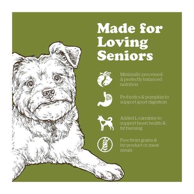 Now Fresh Grain-Free Senior Dry Dog Food