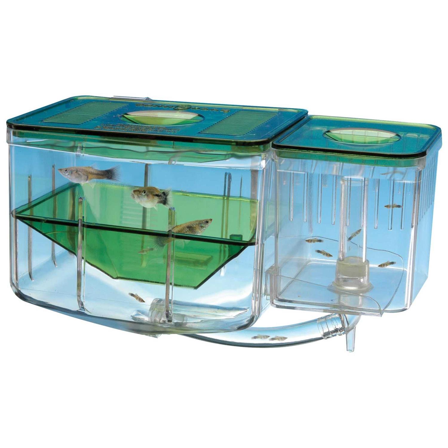 Penn Plax Aqua-Nursery