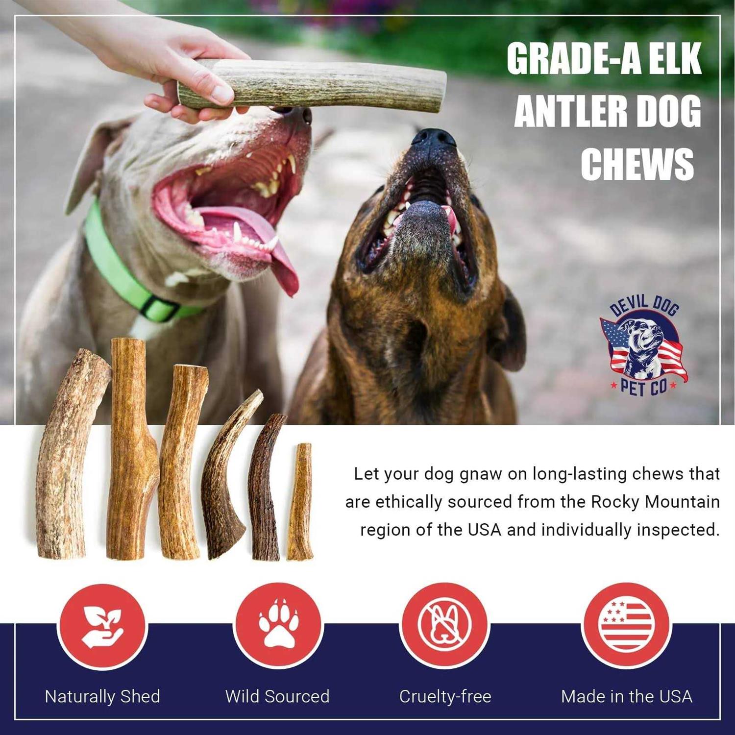Devil Dog Pet Co Antler Dog Chew Premium Elk Antlers for Dogs Long Lasting Dog Bones for Aggressive Chewers