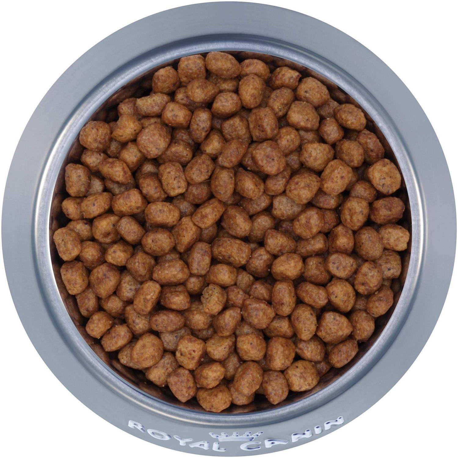 Royal Canin Breed Health Nutrition Chihuahua Adult Dry Dog Food