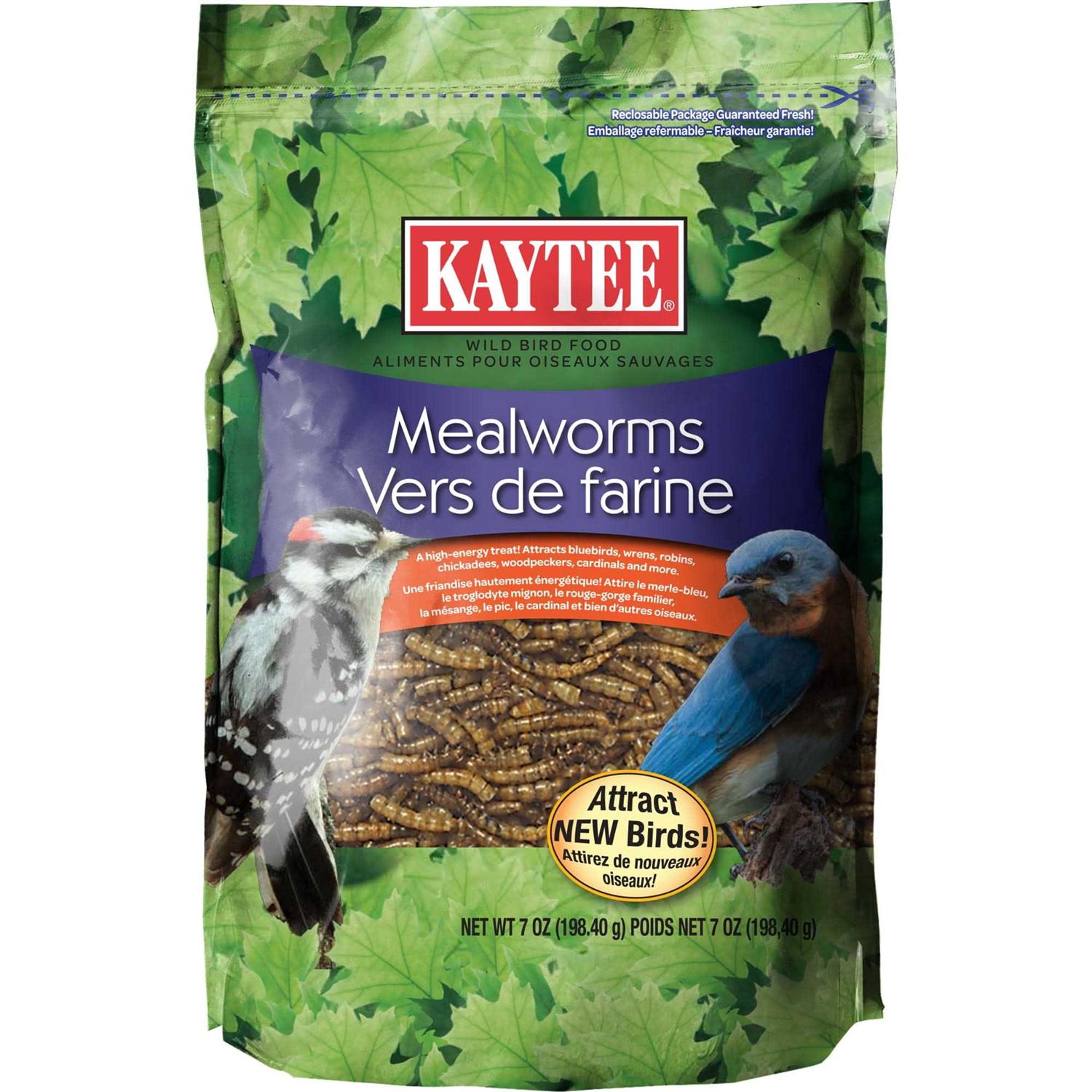 Kaytee Mealworms Bird Food