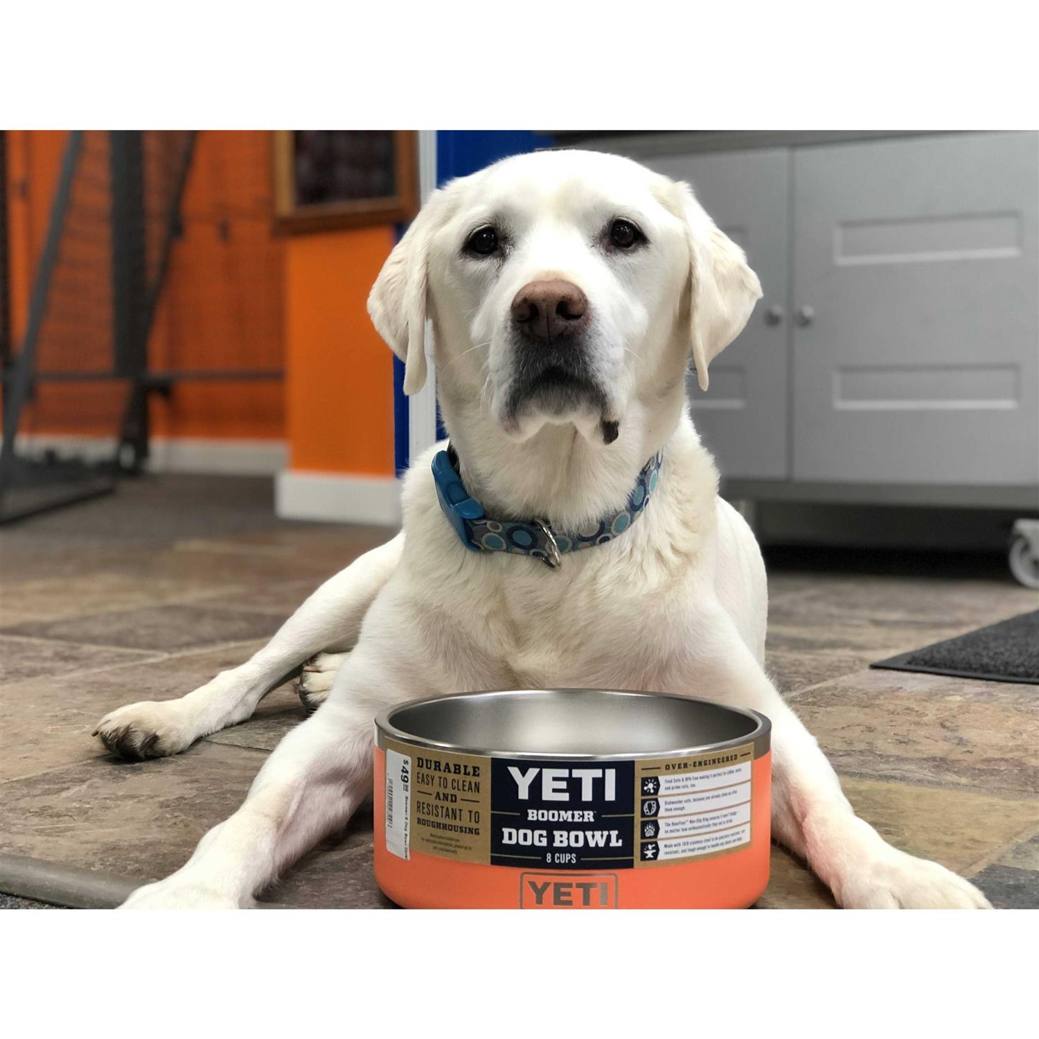 Boomer Dog Bowl Yeti